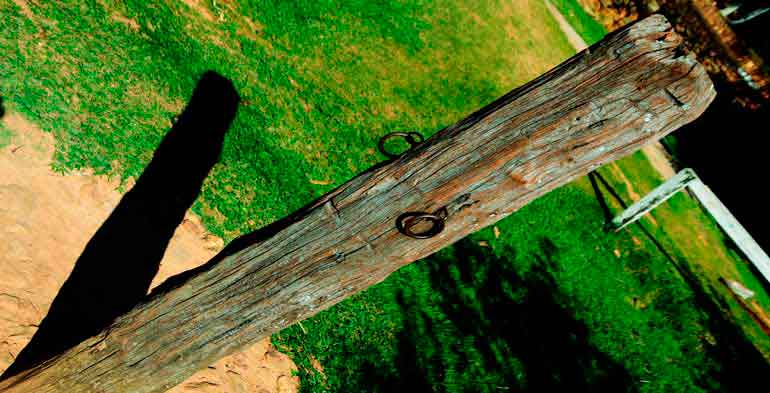 Foto de um pedaço de tronco fincado na terra onde os escravos eram castigados